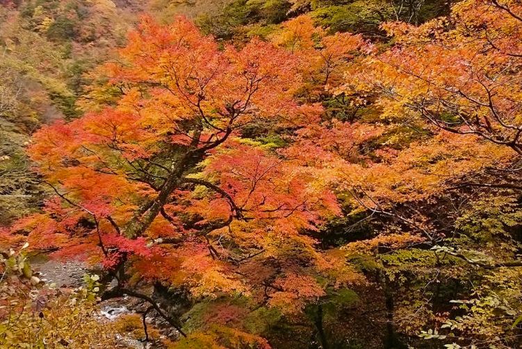 中津峡