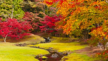 毛越寺