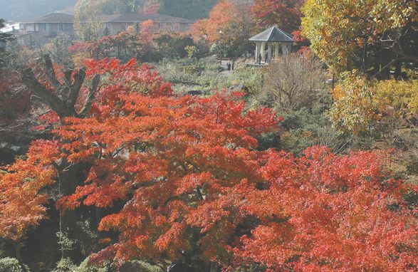 箱根強羅公園