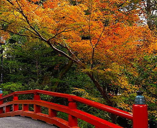 鶴岡八幡宮