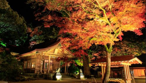 宝満宮竈門神社