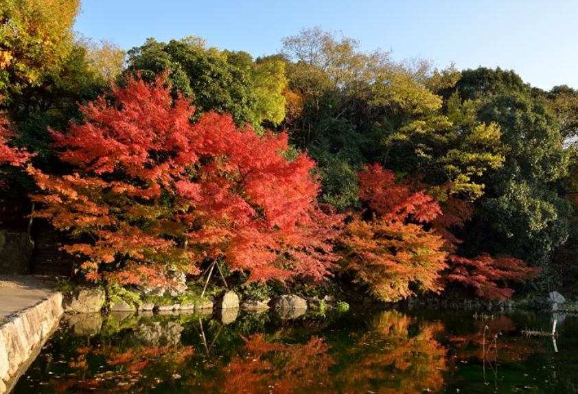 徳川園