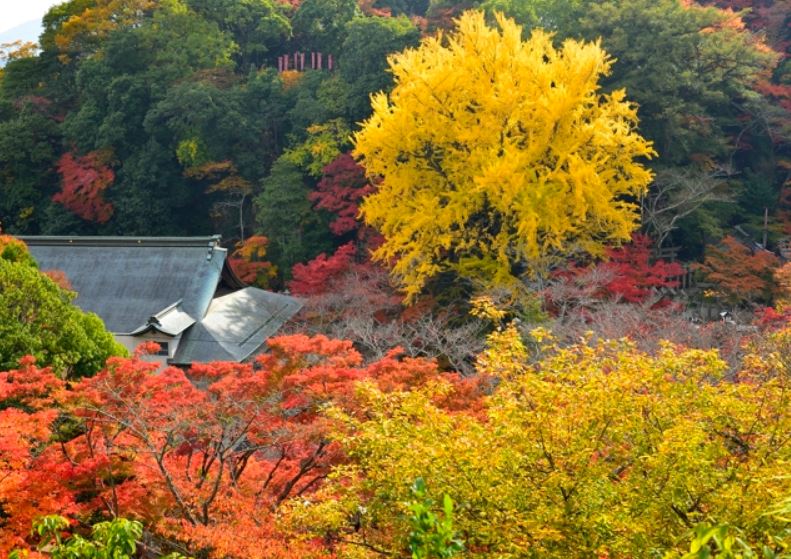 朝護孫子寺