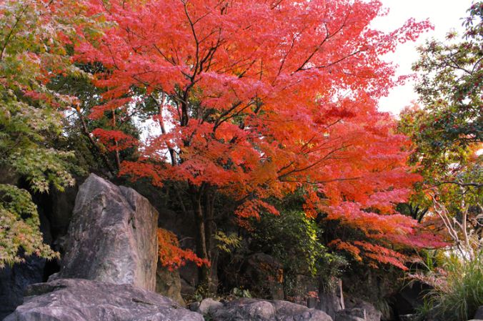 松山城二之丸史跡公園