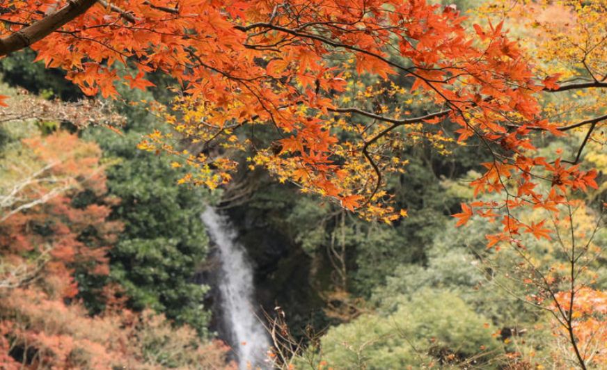 白滝公園