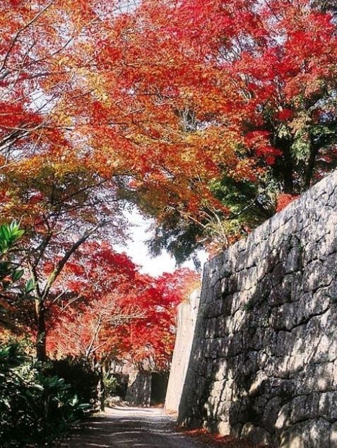 竹田（岡城跡）