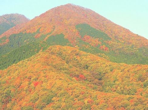 蒜山高原