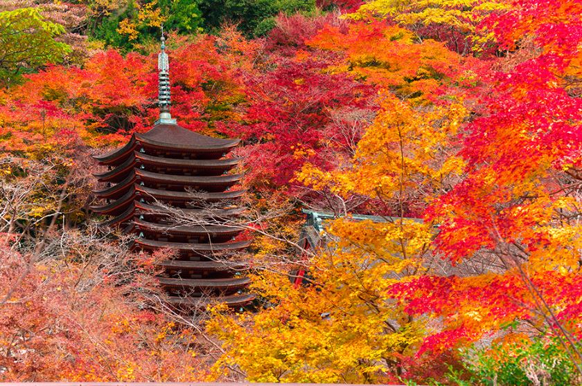 談山神社