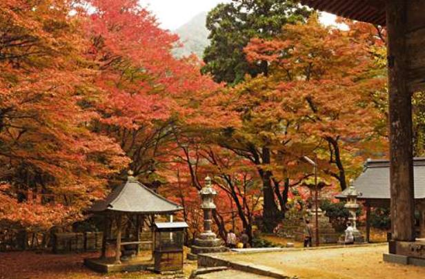 鰐淵寺