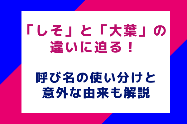 「しそ」と「大葉」の違いに迫る！呼び名の使い分けと意外な由来も解説