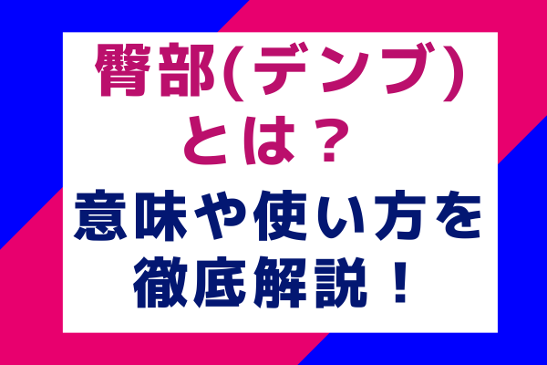 臀部(デンブ)とは？ 意味や使い方を徹底解説！