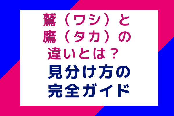 鷲（ワシ）と鷹（タカ）の違いとは？ 見分け方の完全ガイド